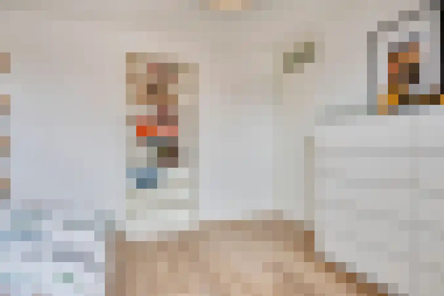 Groen van Prinstererlaan 16 Vlijmen thumbnail 39