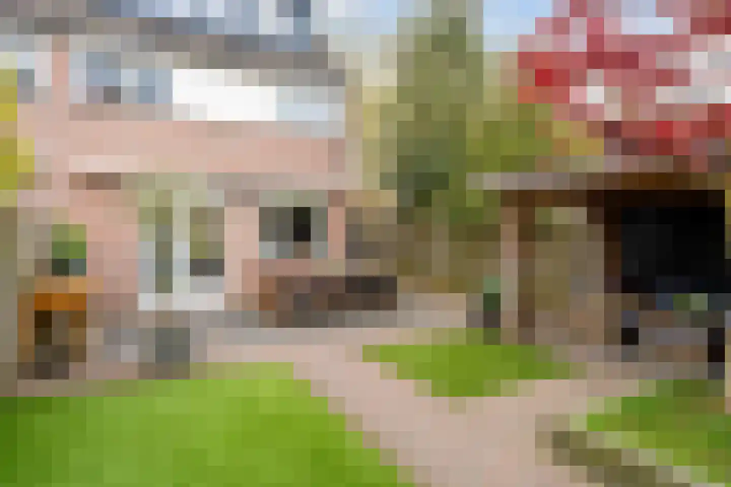 Groen van Prinstererlaan 16 Vlijmen thumbnail 4
