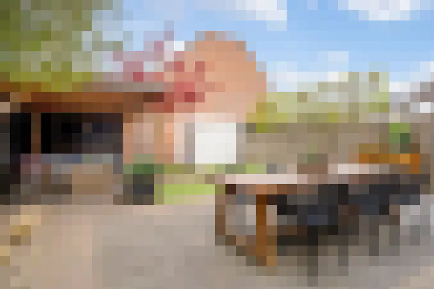 Groen van Prinstererlaan 16 Vlijmen thumbnail 49