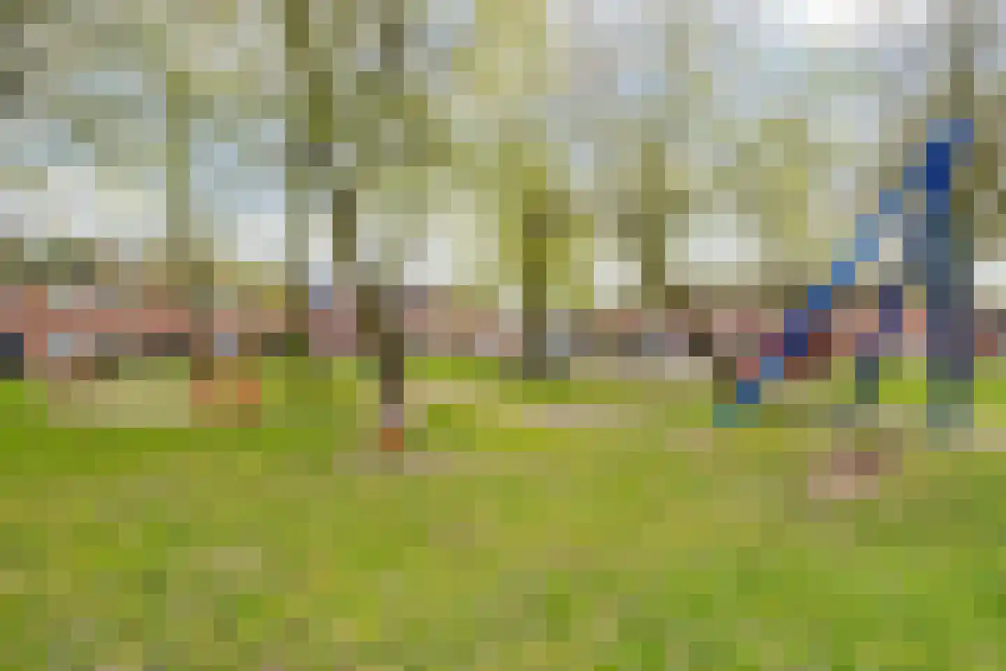 Groen van Prinstererlaan 16 Vlijmen thumbnail 55