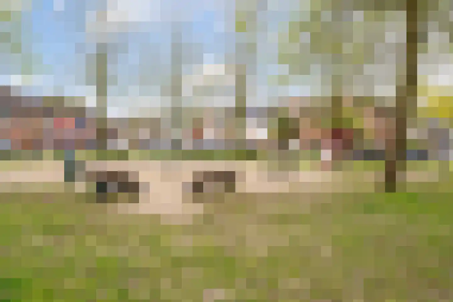 Groen van Prinstererlaan 16 Vlijmen thumbnail 56