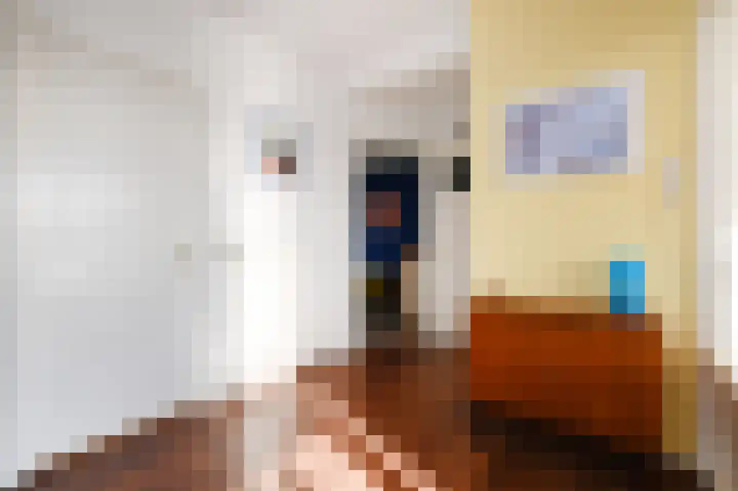 Groen van Prinstererlaan 162 Den Haag thumbnail 11