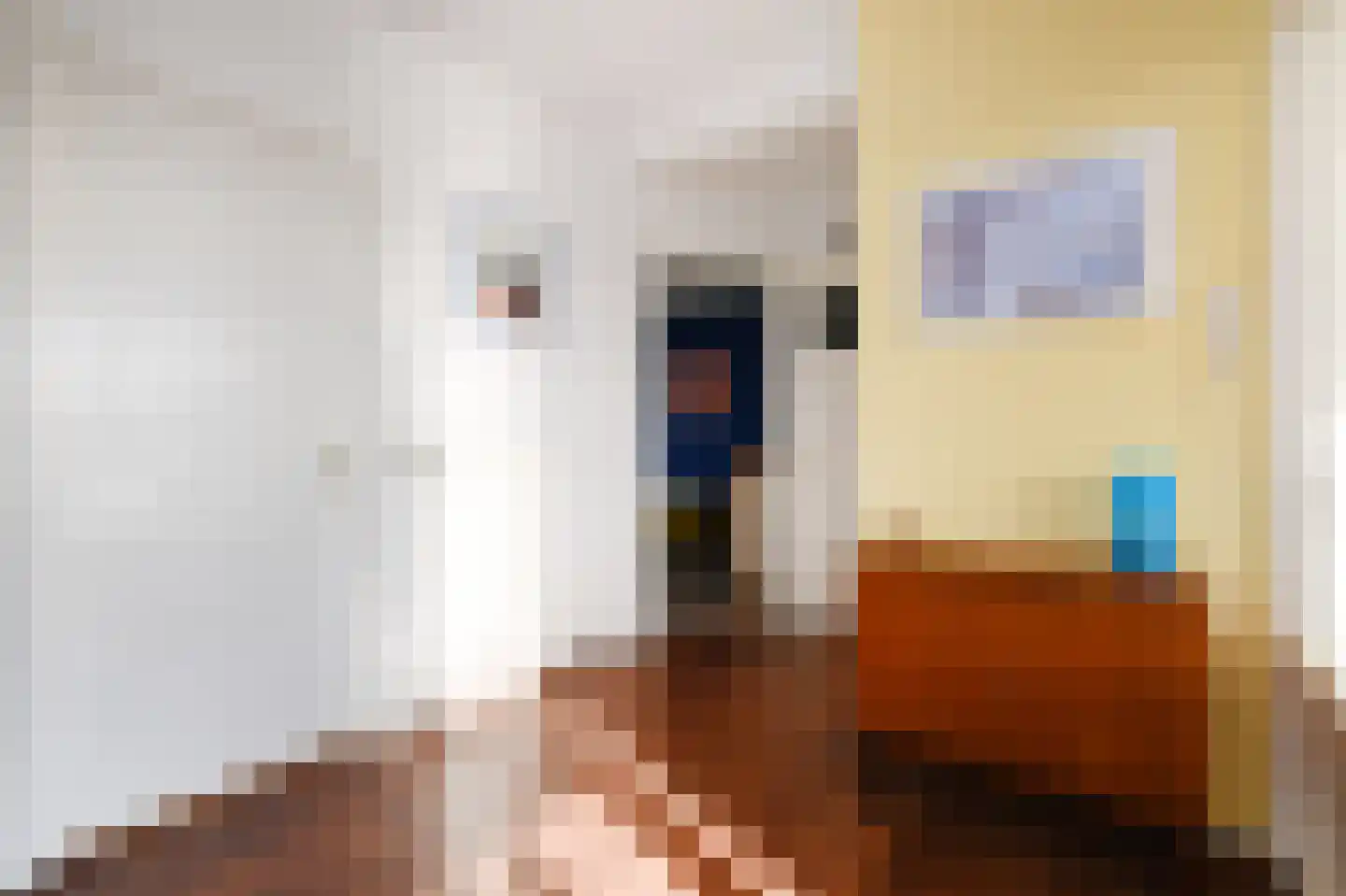 Groen van Prinstererlaan 162 Den Haag thumbnail 11