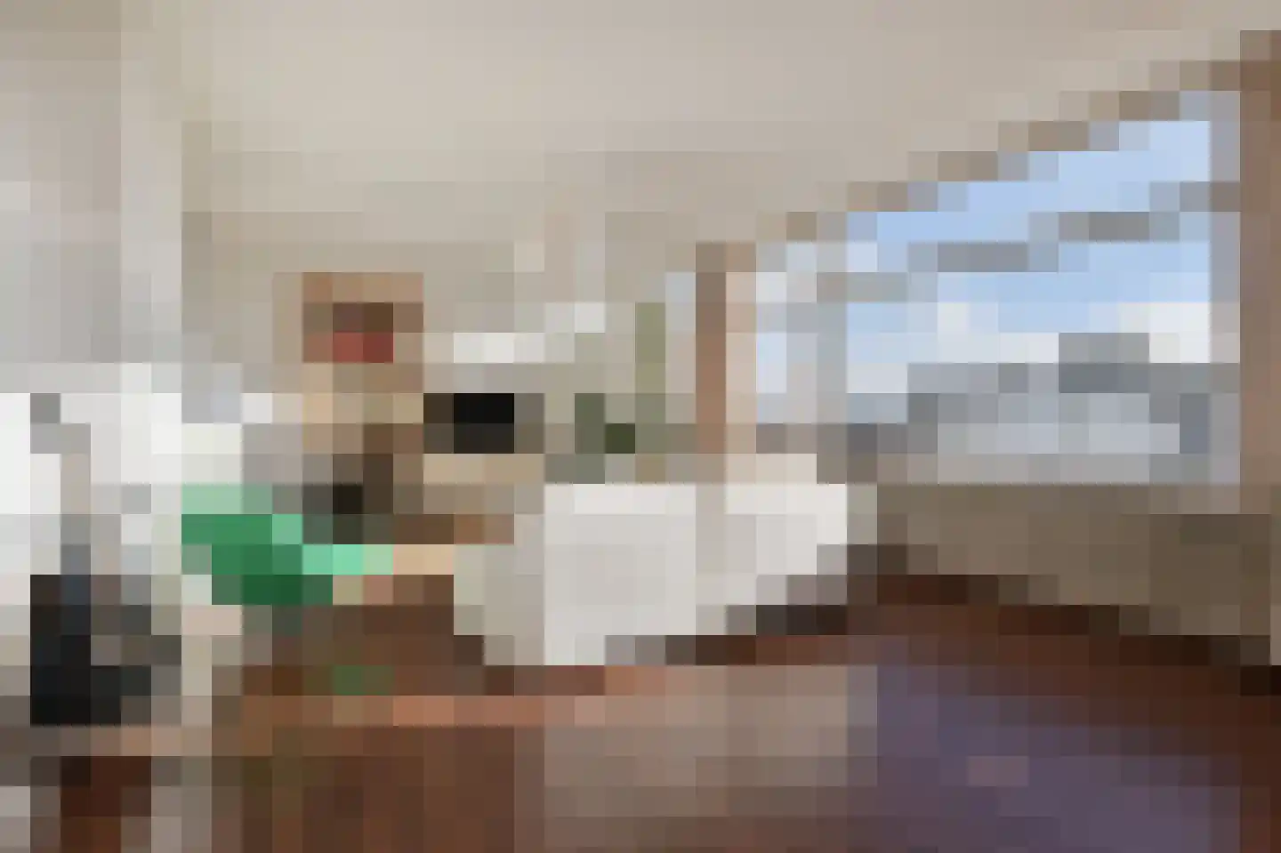 Groen van Prinstererlaan 162 Den Haag thumbnail 14