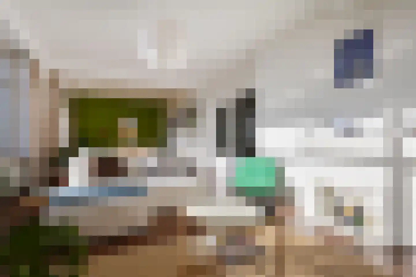 Groen van Prinstererlaan 162 Den Haag thumbnail 17