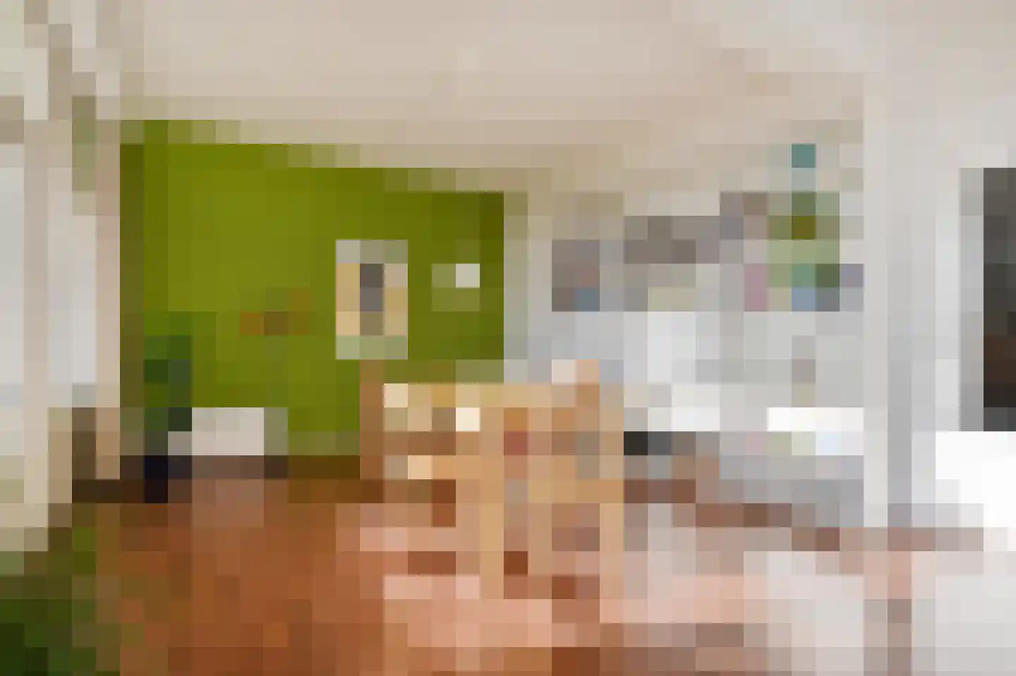 Groen van Prinstererlaan 162 Den Haag thumbnail 18