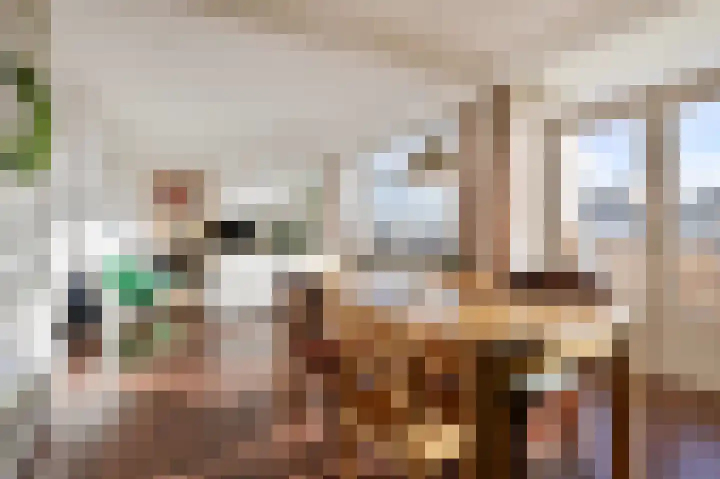 Groen van Prinstererlaan 162 Den Haag thumbnail 21