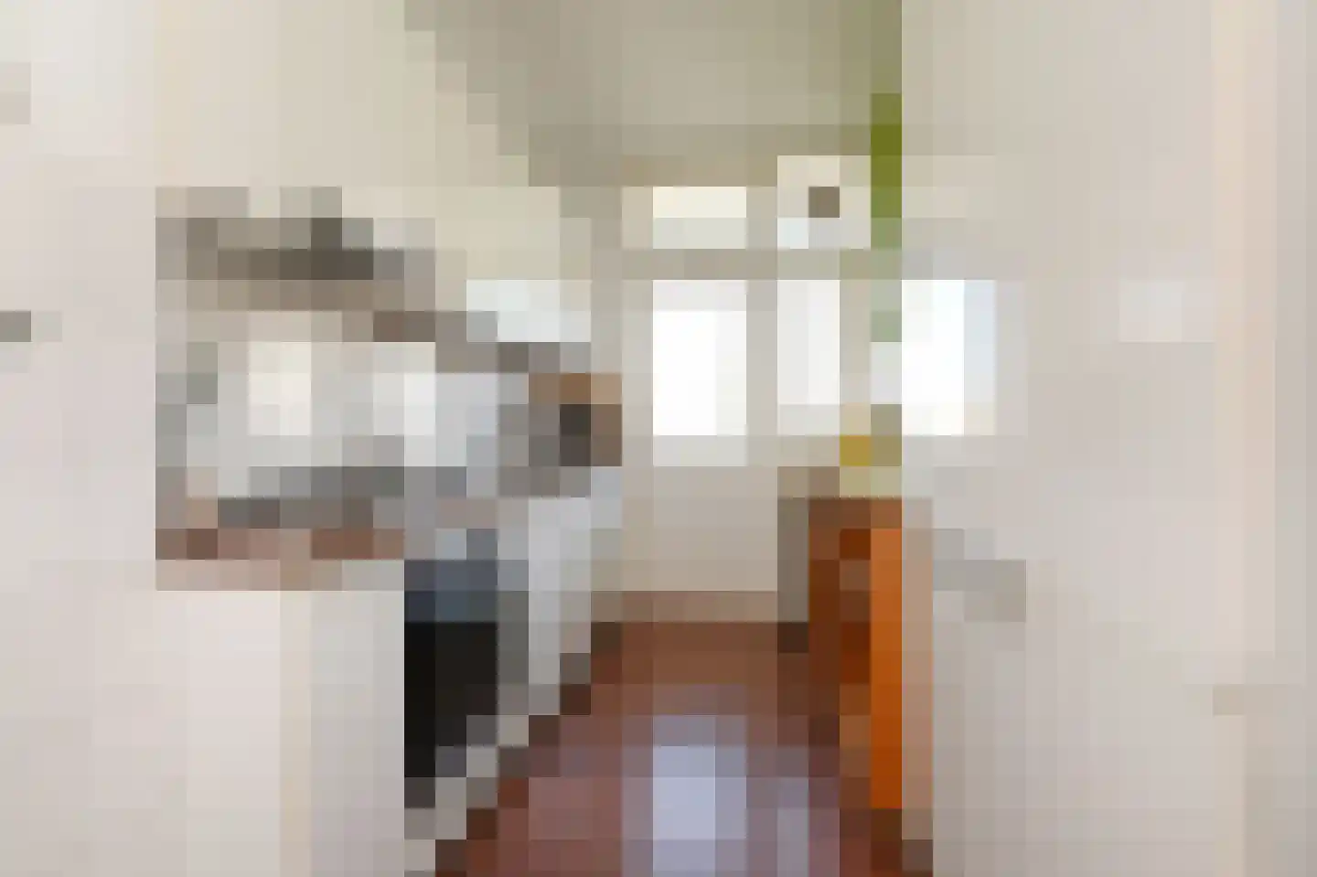 Groen van Prinstererlaan 162 Den Haag thumbnail 29