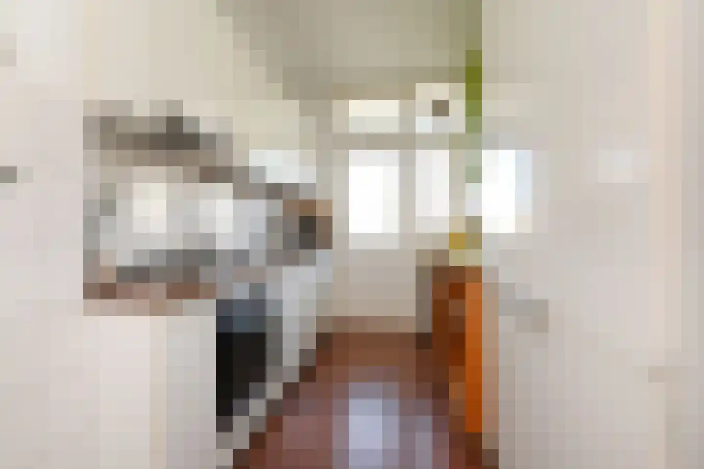 Groen van Prinstererlaan 162 Den Haag thumbnail 29