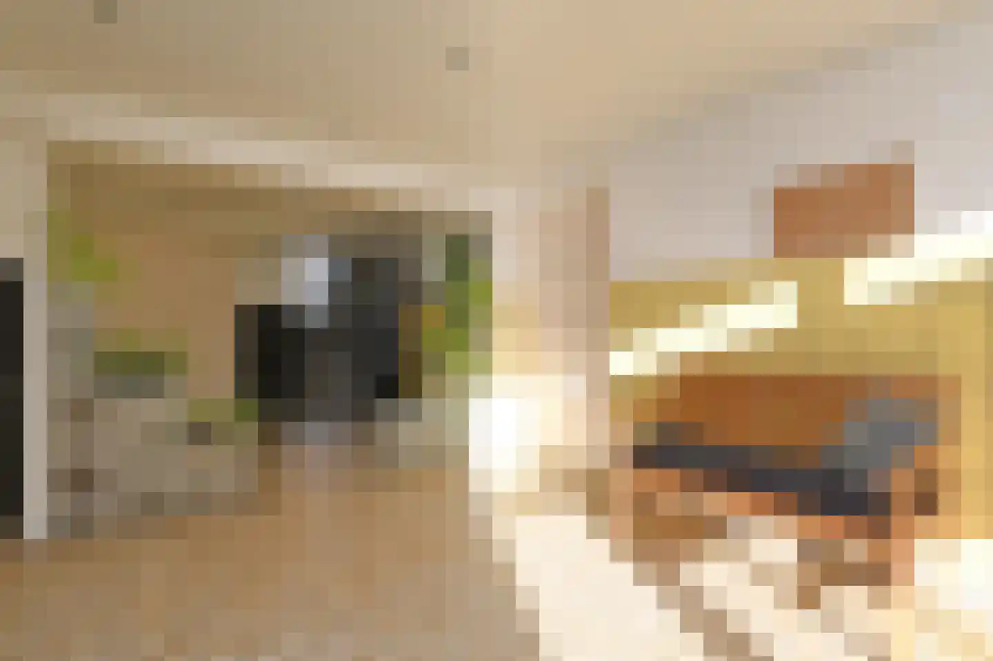 Groen van Prinstererlaan 162 Den Haag thumbnail 8