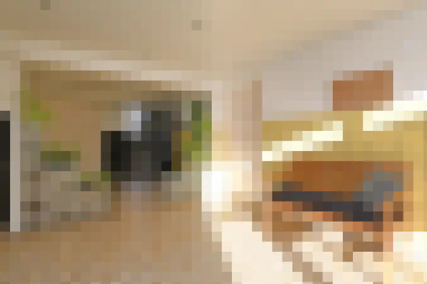 Groen van Prinstererlaan 162 Den Haag thumbnail 8