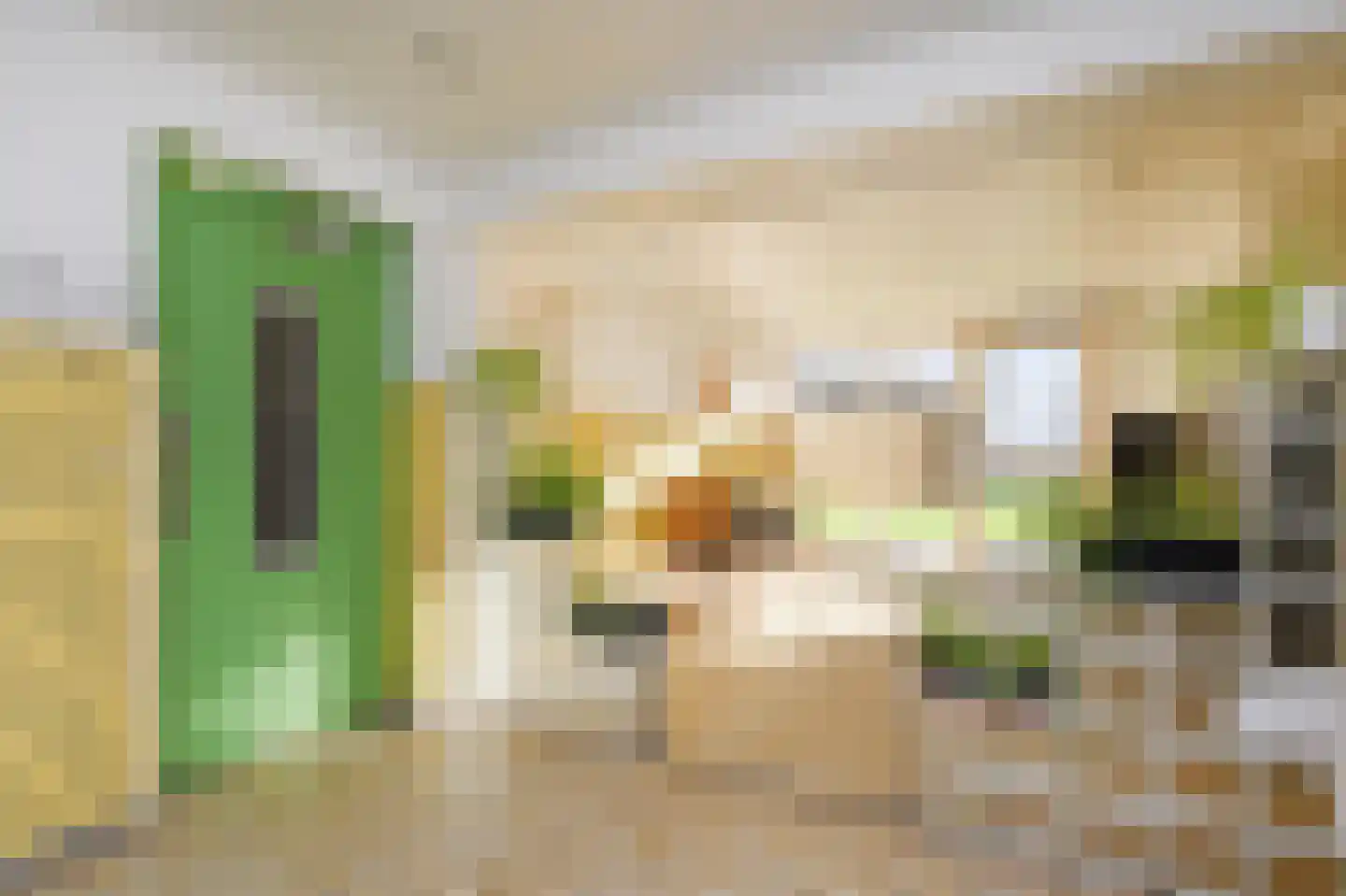 Groen van Prinstererlaan 162 Den Haag thumbnail 9