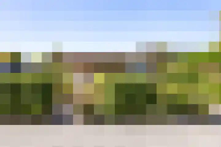 Groen van Prinstererlaan 17 Vlissingen thumbnail 10