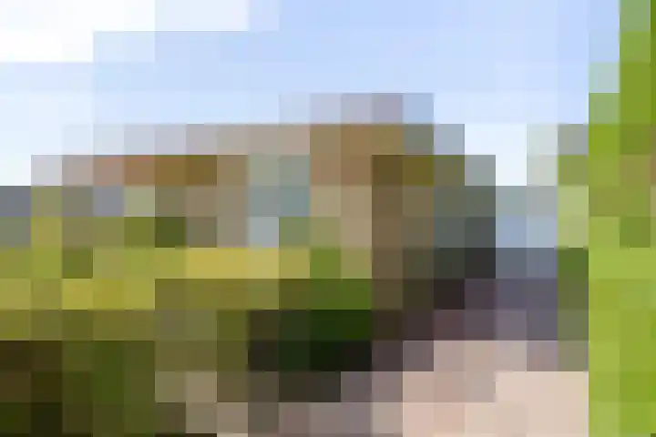 Groen van Prinstererlaan 17 Vlissingen thumbnail 11