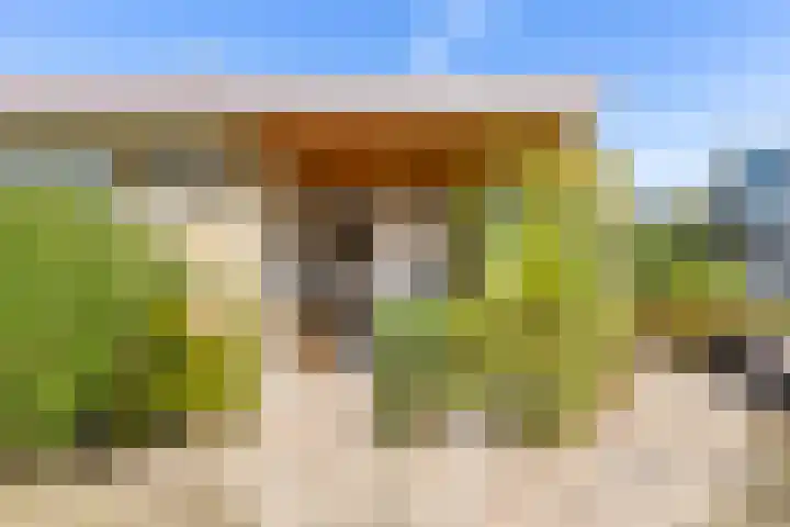 Groen van Prinstererlaan 17 Vlissingen thumbnail 13