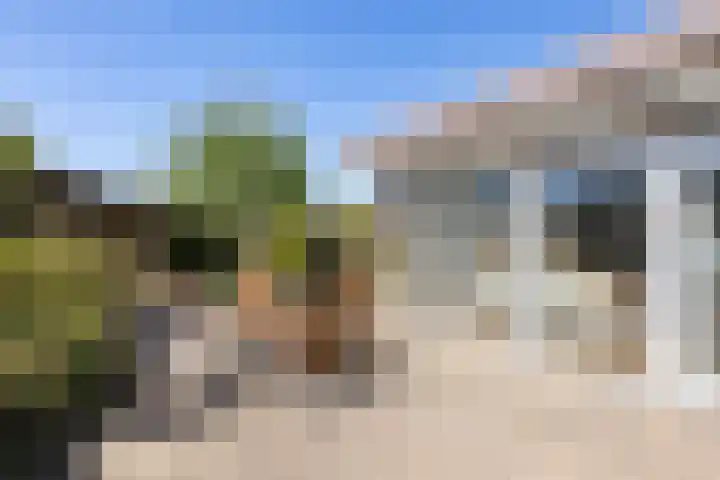 Groen van Prinstererlaan 17 Vlissingen thumbnail 14