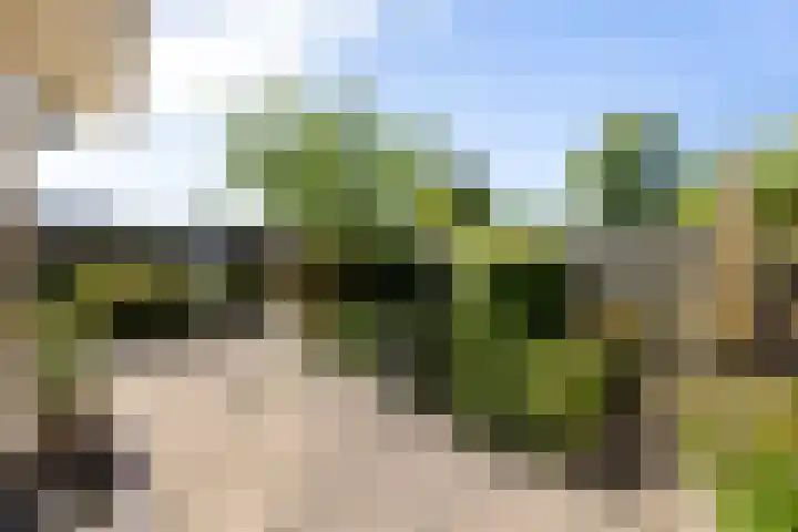 Groen van Prinstererlaan 17 Vlissingen thumbnail 22
