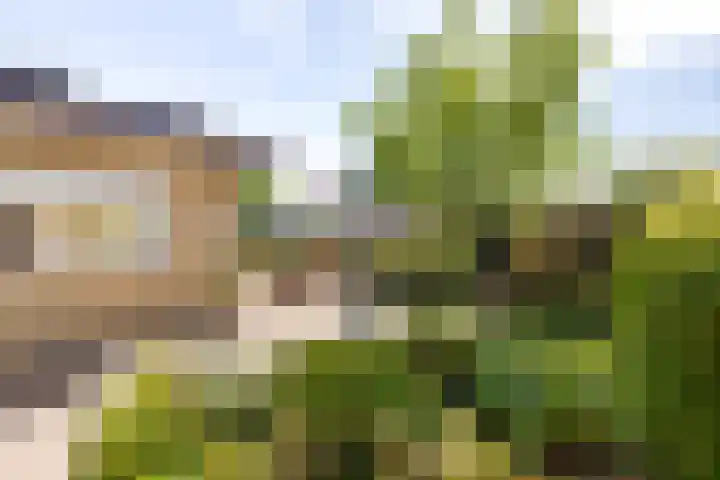 Groen van Prinstererlaan 17 Vlissingen thumbnail 23