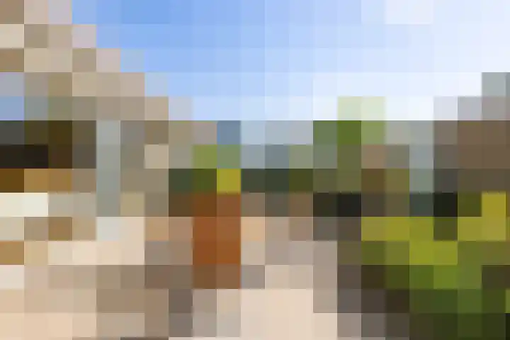 Groen van Prinstererlaan 17 Vlissingen thumbnail 24