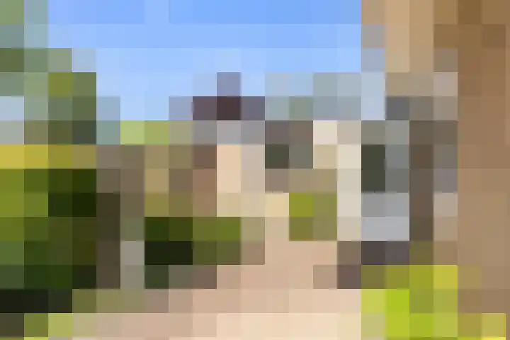 Groen van Prinstererlaan 17 Vlissingen thumbnail 25