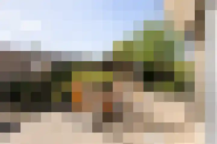 Groen van Prinstererlaan 17 Vlissingen thumbnail 28
