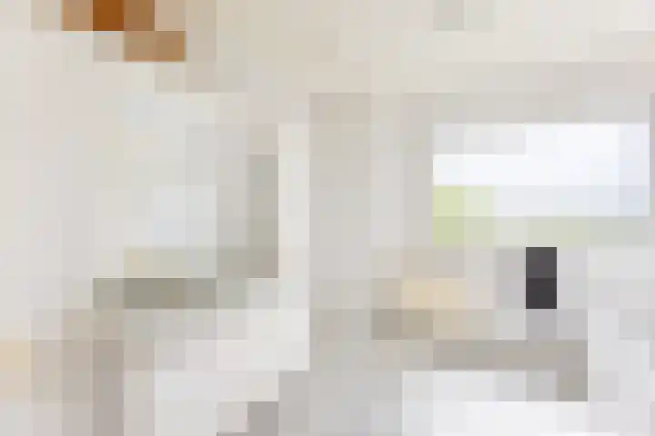Groen van Prinstererlaan 17 Vlissingen thumbnail 30