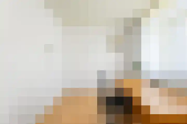 Groen van Prinstererlaan 17 Vlissingen thumbnail 33