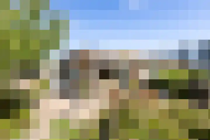Groen van Prinstererlaan 17 Vlissingen thumbnail 5