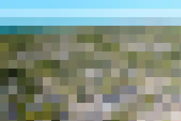 Groen van Prinstererlaan 17 Vlissingen thumbnail 7