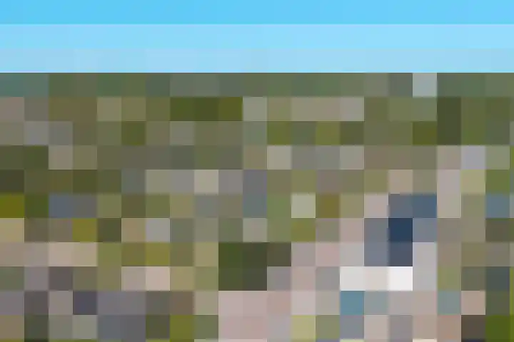 Groen van Prinstererlaan 17 Vlissingen thumbnail 8