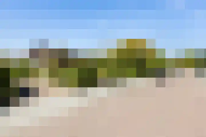 Groen van Prinstererlaan 17 Vlissingen thumbnail 9