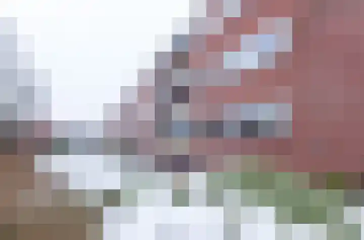 Groen van Prinstererlaan 18 Groningen thumbnail 31