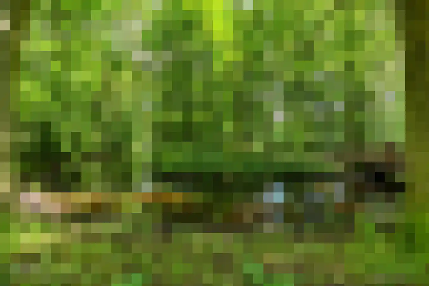 Groen van Prinstererlaan 182 Den Haag thumbnail 51