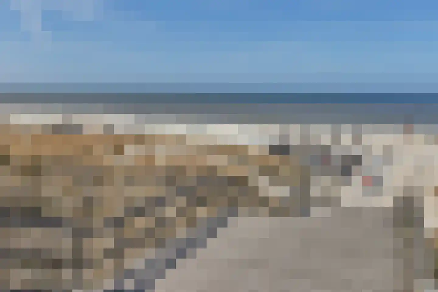 Groen van Prinstererlaan 182 Den Haag thumbnail 53