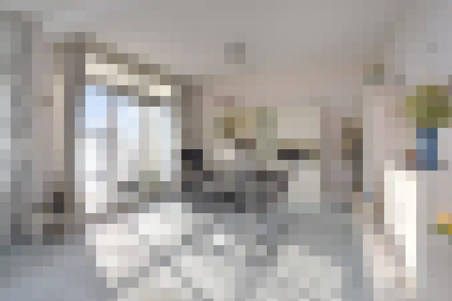 Groen van Prinstererlaan 188 Den Haag thumbnail 20