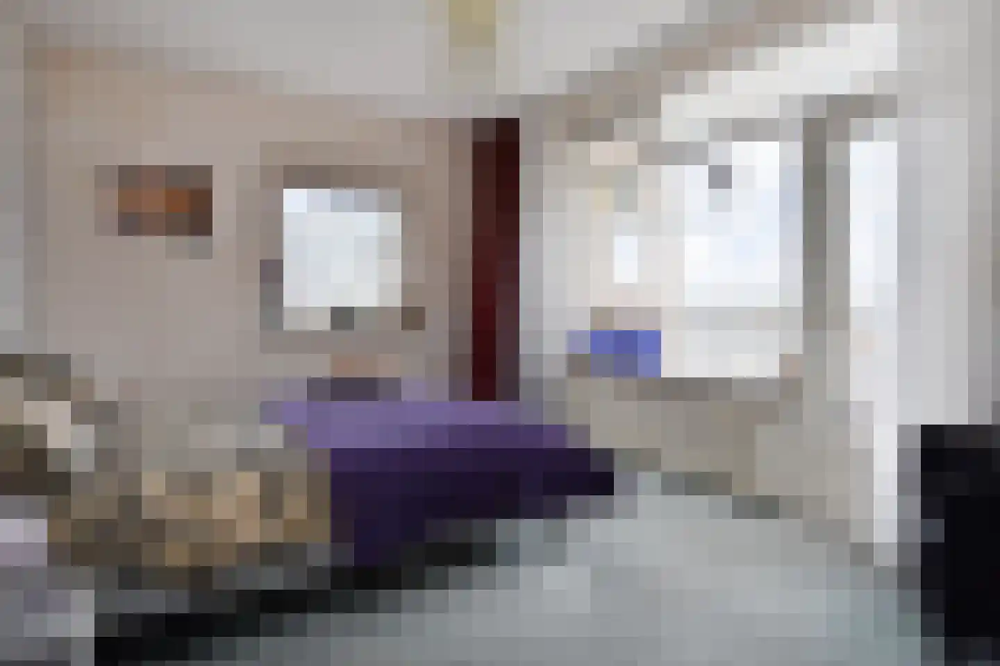 Groen van Prinstererlaan 188 Den Haag thumbnail 4