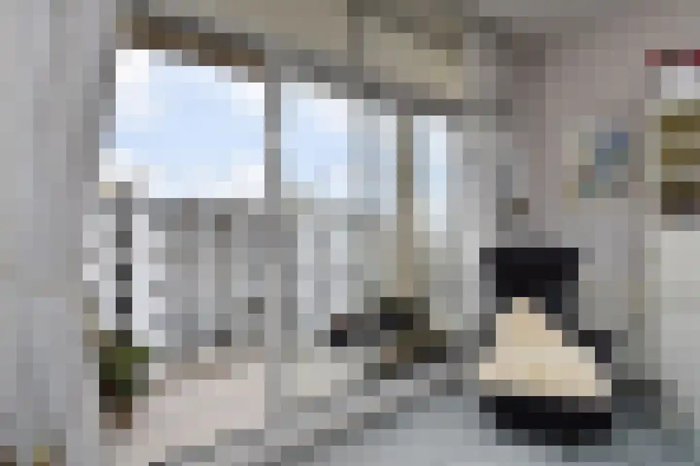 Groen van Prinstererlaan 188 Den Haag thumbnail 5