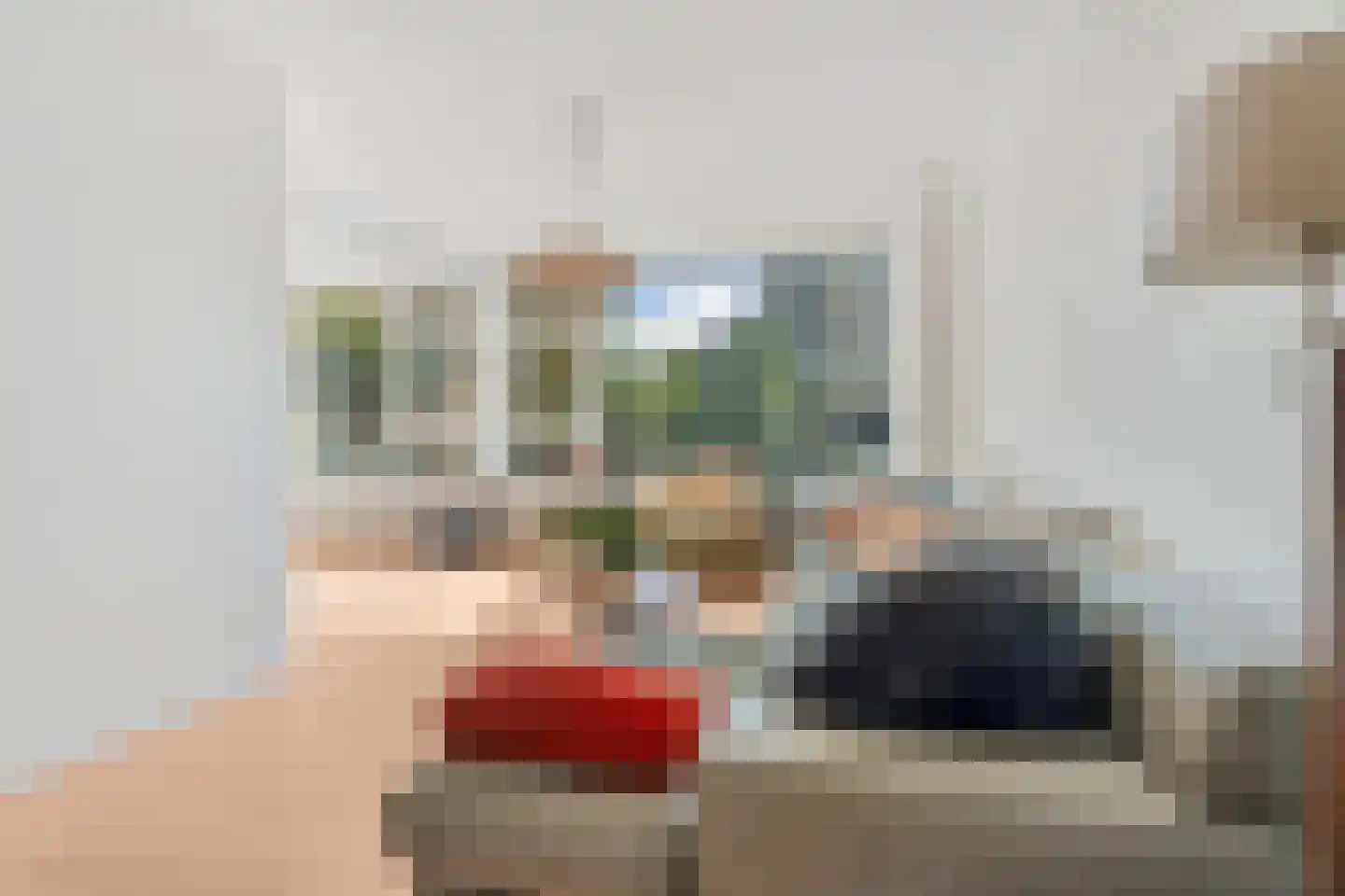 Groen van Prinstererlaan 209 Den Haag thumbnail 15