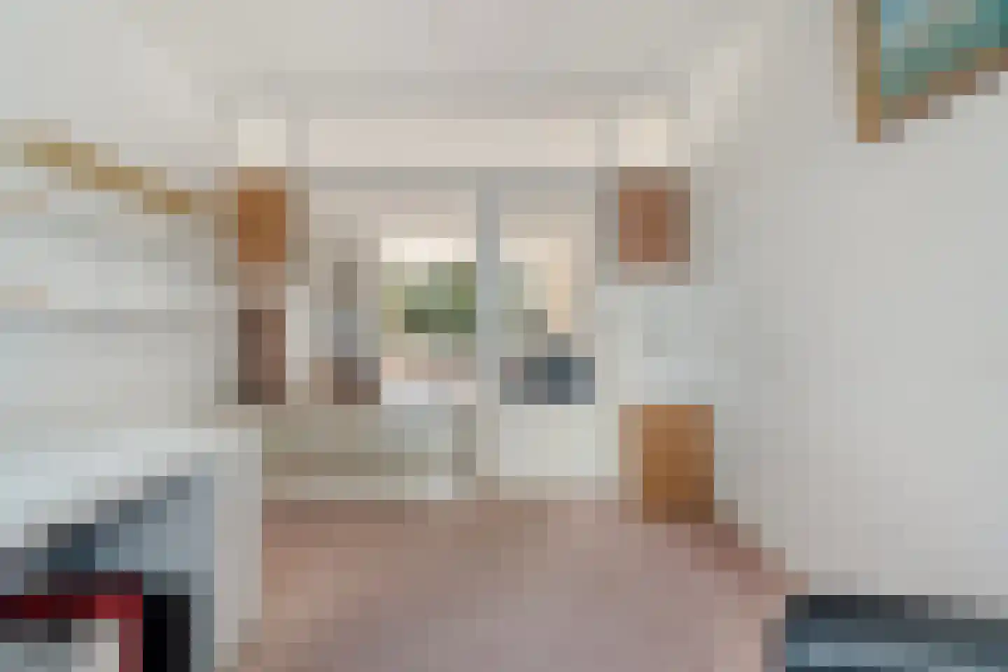 Groen van Prinstererlaan 209 Den Haag thumbnail 31