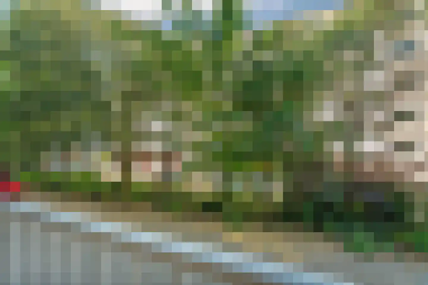 Groen van Prinstererlaan 209 Den Haag thumbnail 47