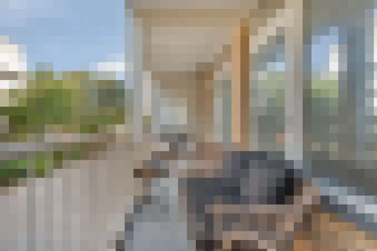 Groen van Prinstererlaan 209 Den Haag thumbnail 48