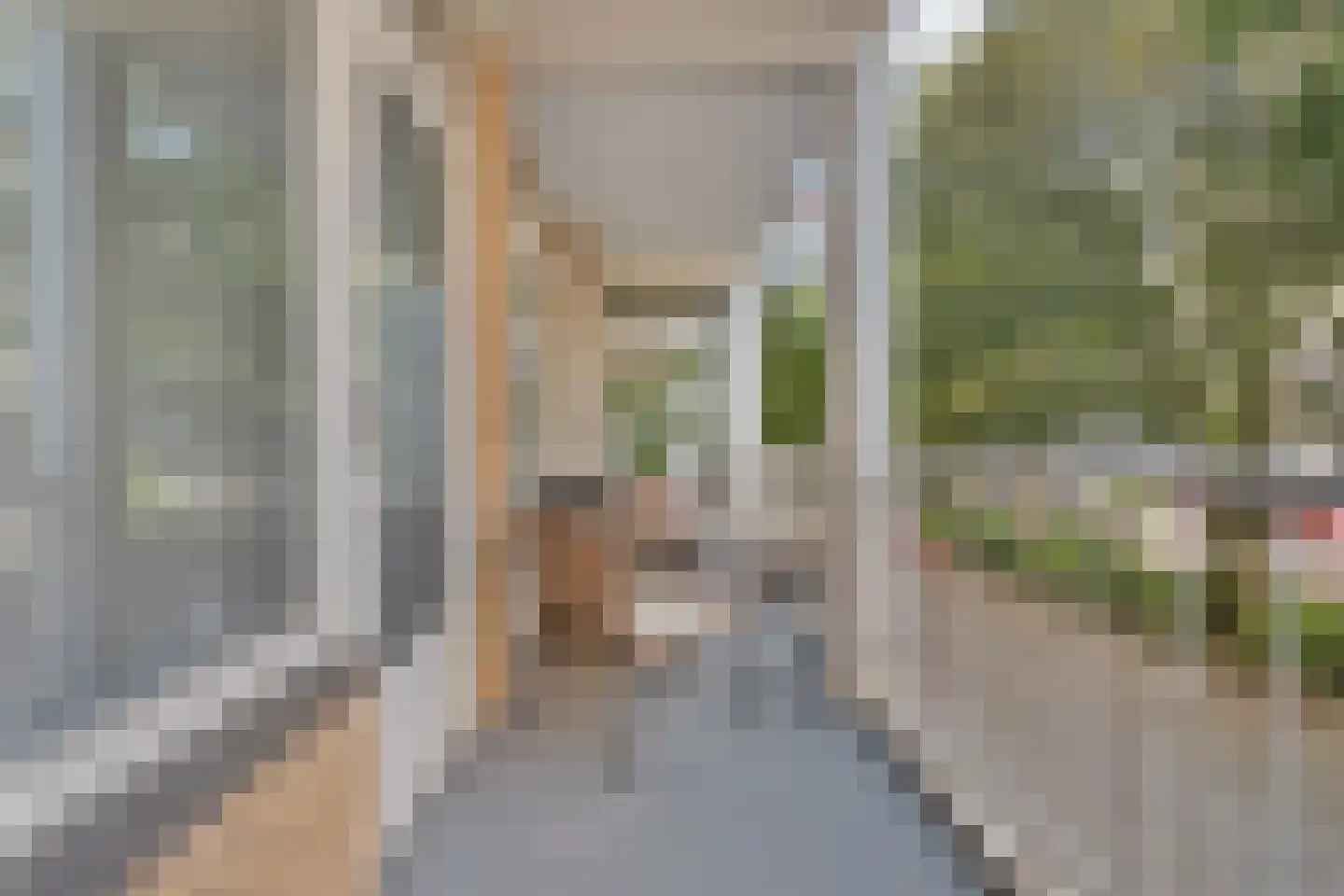 Groen van Prinstererlaan 209 Den Haag thumbnail 5