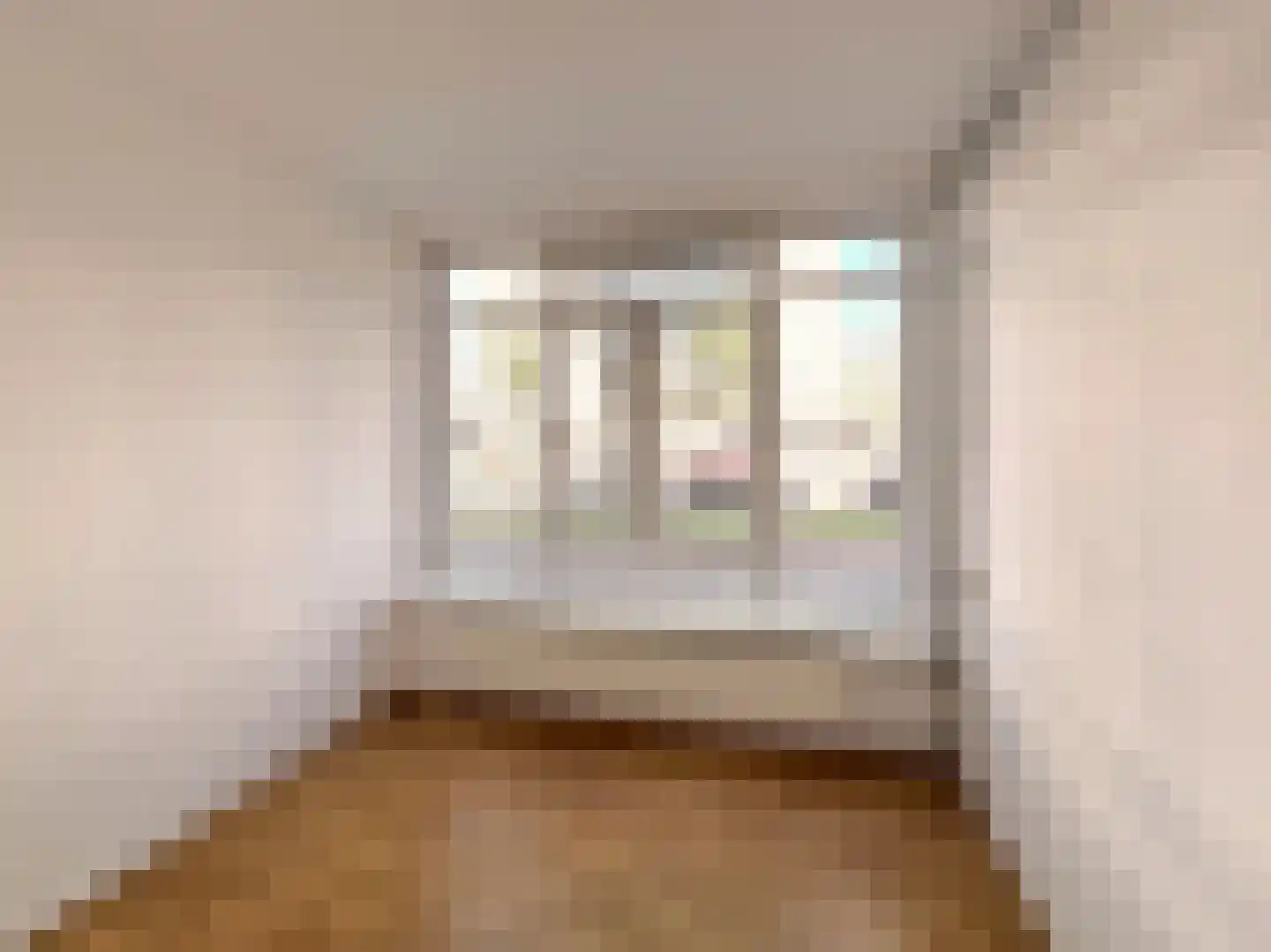 Groen van Prinstererlaan 21 Den Haag thumbnail 18