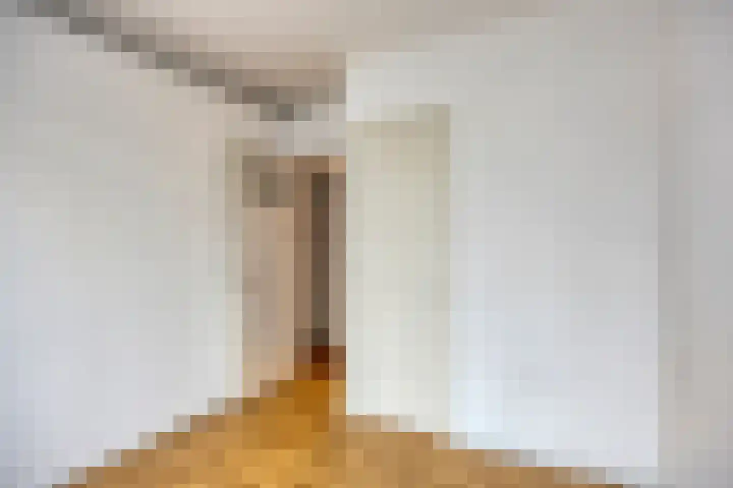 Groen van Prinstererlaan 21 Den Haag thumbnail 19