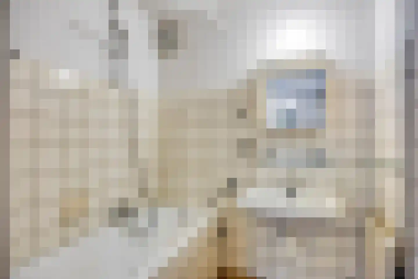 Groen van Prinstererlaan 21 Den Haag thumbnail 20