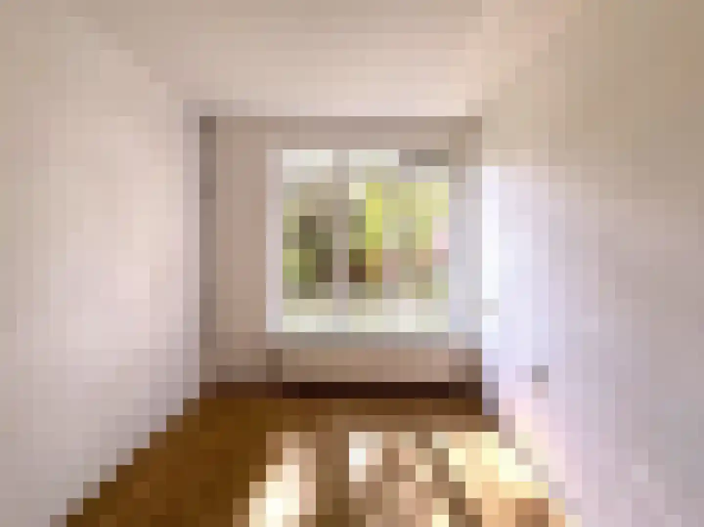 Groen van Prinstererlaan 21 Den Haag thumbnail 22