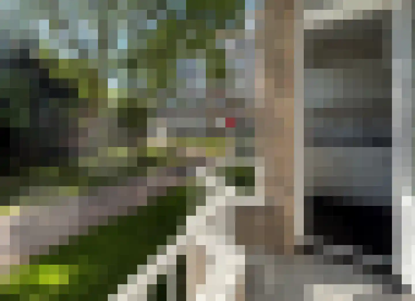 Groen van Prinstererlaan 21 Den Haag thumbnail 24