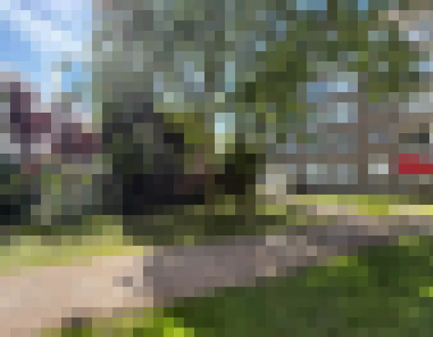 Groen van Prinstererlaan 21 Den Haag thumbnail 25