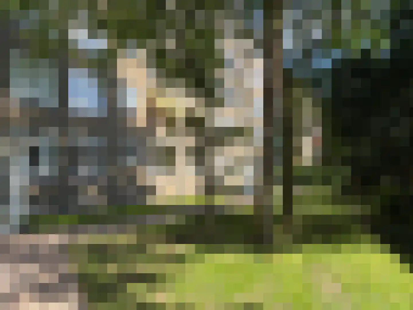 Groen van Prinstererlaan 21 Den Haag thumbnail 31