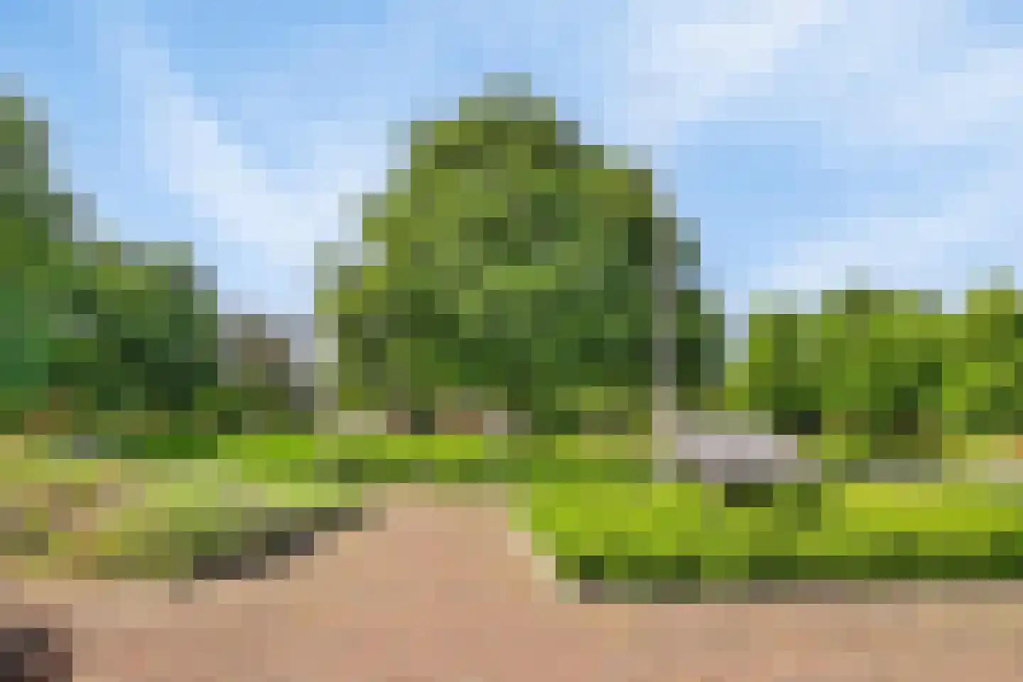 Groen van Prinstererlaan 21 Den Haag thumbnail 32